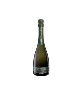 Prosecco Valdobbiadene Millesimato Brut 2024 - Salatin