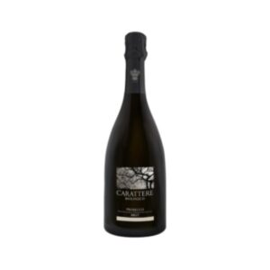 Carattere Prosecco Biologico Brut - Salatin