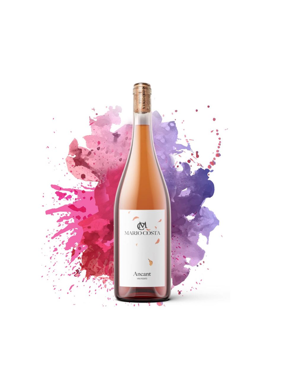 Ancant 2024 - Mario Costa