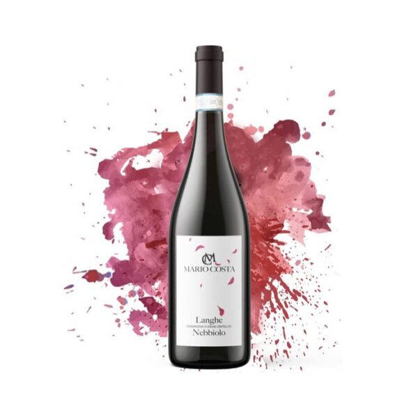 Langhe Nebbiolo 2024 - Mario Costa