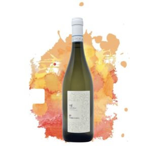 Vijé Langhe Bianco 2022 - Mario Costa