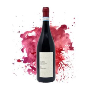 S-ciass Barbera D’Alba Superiore 2018 - Mario Costa