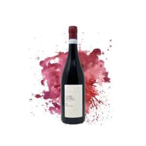 Cianin Da Stiva Nebbiolo D’Alba Superiore 2018 - Mario Costa