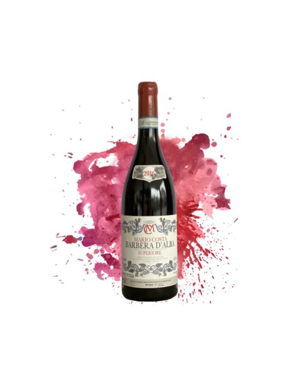Selezione Mario Costa Barbera D’Alba Superiore 2018 - Mario Costa