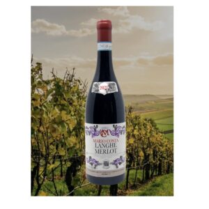 Merlot Langhe 2021 - Mario Costa