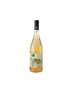 Enoteca Santamaria - Enoteca Santamaria - 9 Agere 2022 - Azienda Agricola San Ruggero