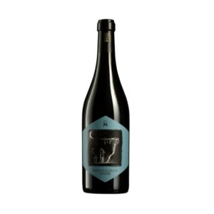 Valpolicella Classico Superiore 2017 - Mizzon