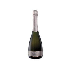 Prosecco Treviso Extra Dry 2024 - Salatin