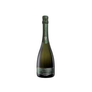 Prosecco Valdobbiadene Millesimato Brut 2024 - Salatin