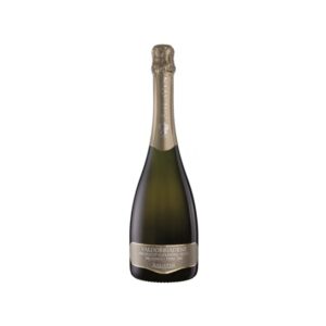 Prosecco Valdobbiadene Millesimato Extra Dry 2022 - Salatin