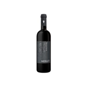 Venezia Merlot 2022 - Salatin