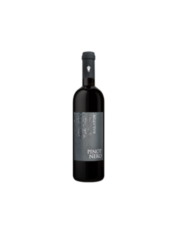Pinot Nero 2022 - Salatin