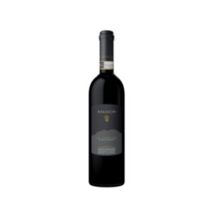 Le Conche Rosso Riserva 2020 - Salatin