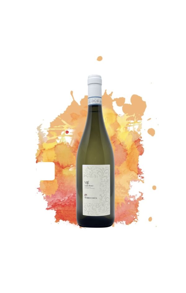 Vijé Langhe Bianco 2022 - Mario Costa