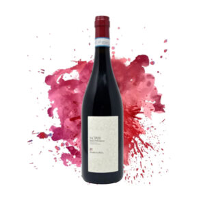S-ciass Barbera D’Alba Superiore 2018 - Mario Costa