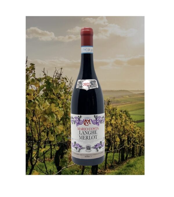 Merlot Langhe 2021 - Mario Costa