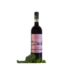 Chianti Riserva 2013 - Fattoria Montereggi